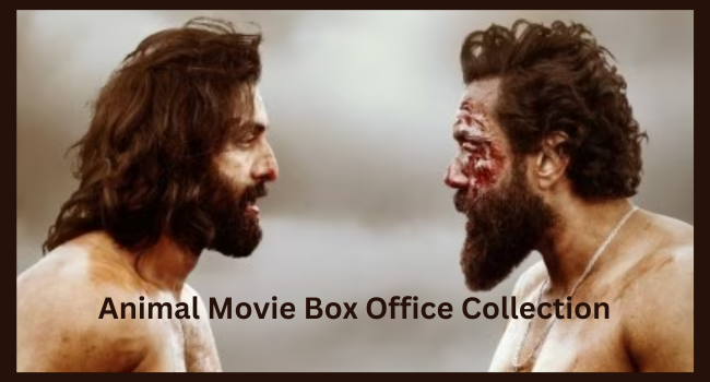 Animal Movie Box Office Collection