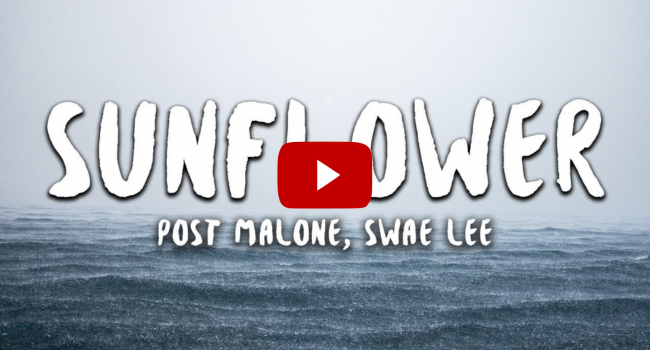 Post Malone Swae Lee Sunflower Lyrics